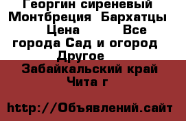 Георгин сиреневый. Монтбреция. Бархатцы.  › Цена ­ 100 - Все города Сад и огород » Другое   . Забайкальский край,Чита г.